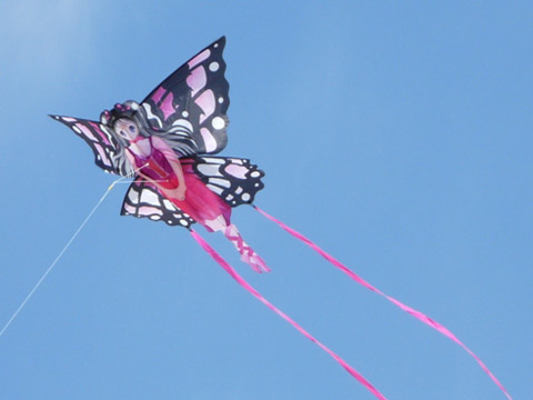 cerf-volant papillon manga