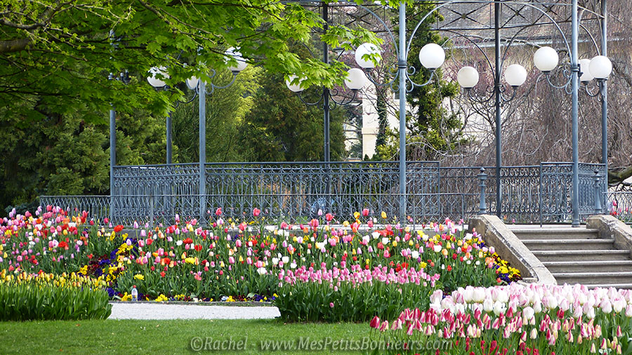 fete tulipes kiosque parc morges