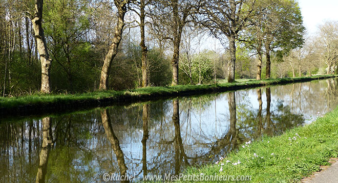 reflets arbres dans canal