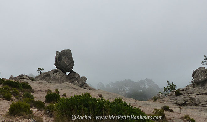 rocher sentinelle dans le brouillard