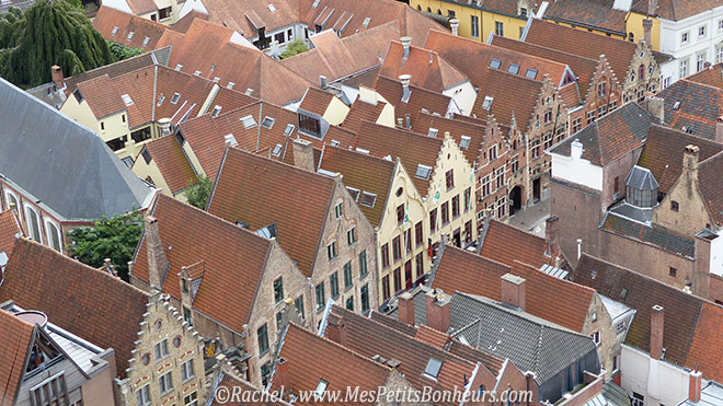 façades Bruges vues du beffroi