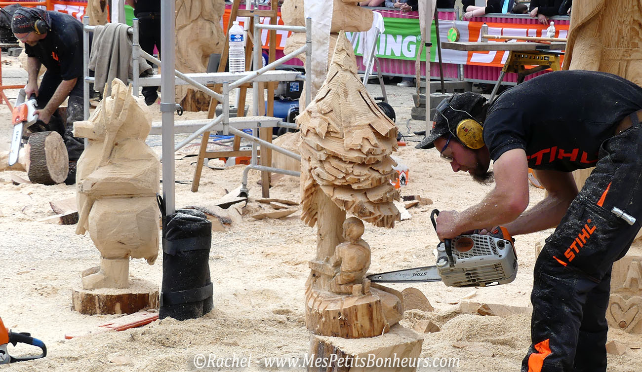 championnat france sculpture tronconneuse sapin homme a genou