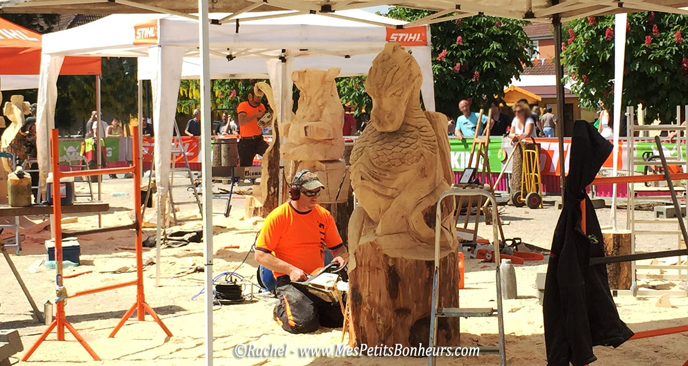 sculptures sur bois grandvillars