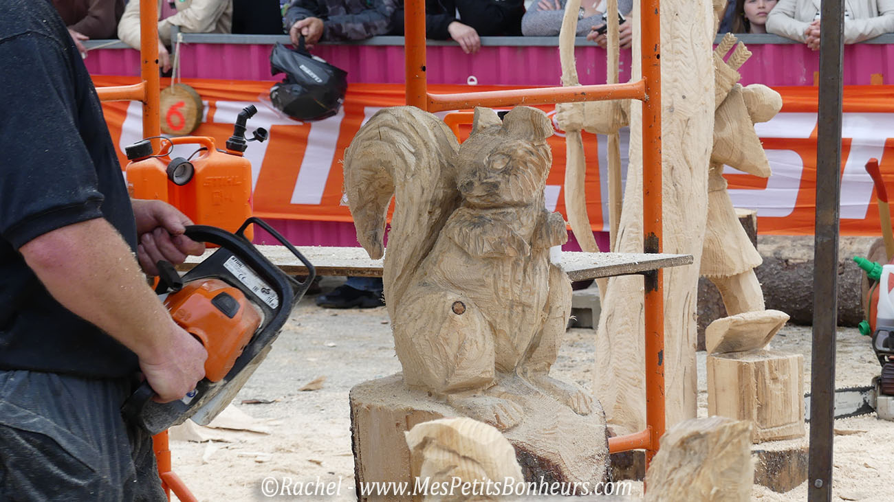 écureuil tronconneuse sculpture bois