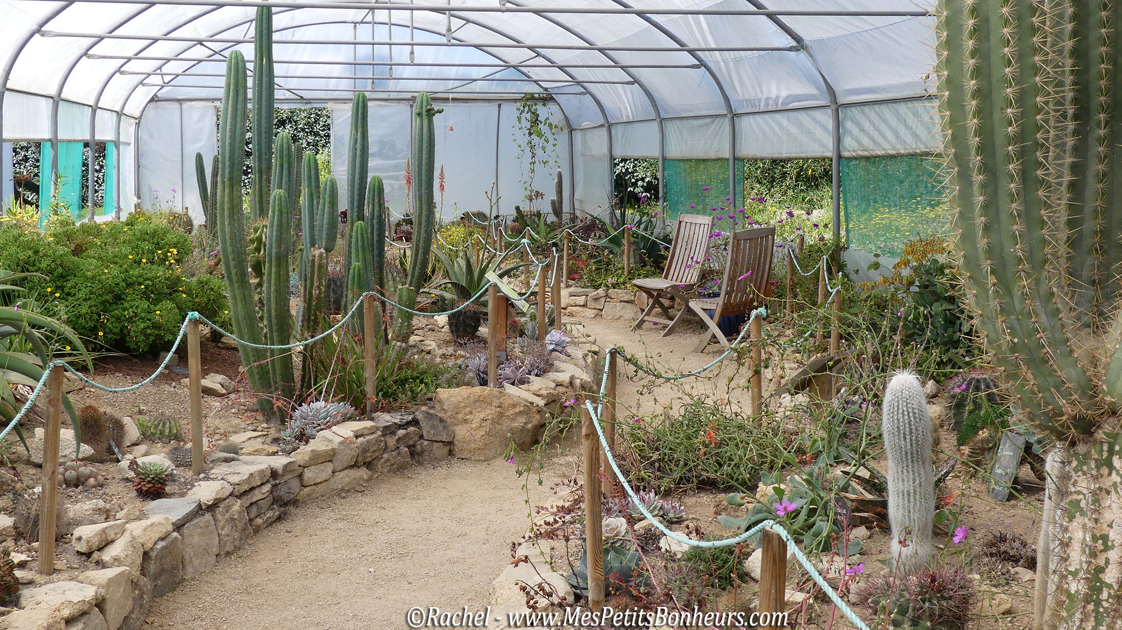 serre cactus jardin exotique roscoff
