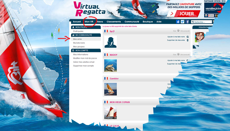virtual-regatta-amis-virtuels