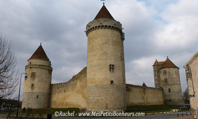 Blandy les Tours_Donjon du chateau et deux tours