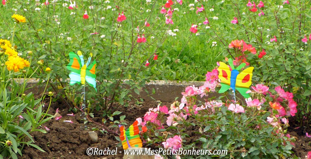 Maison – Déco – Bricolage – Jardin Questions réponses Maison –