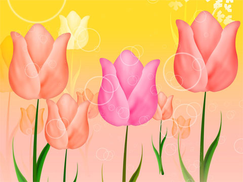 fond_ecran_printemps_tulipes