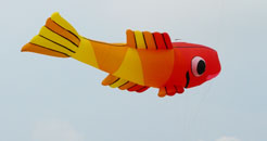 un-poisson_rouge_volant