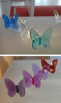 Baccarat-papillons-cristal-coloré