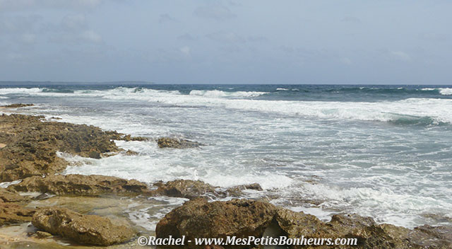 Guadeloupe Grande terre spot de surf