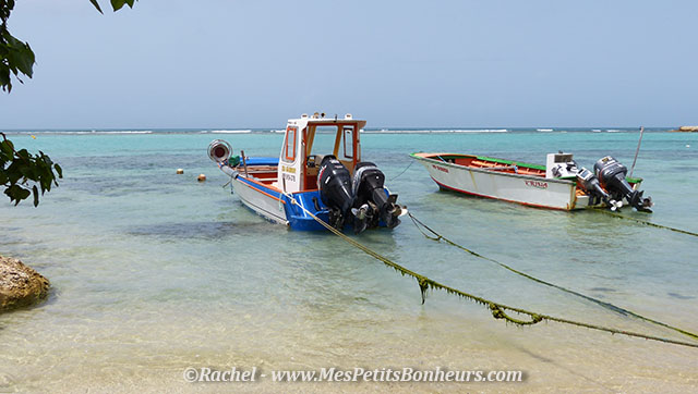 Guadeloupe_St Francois_bateaux de peche