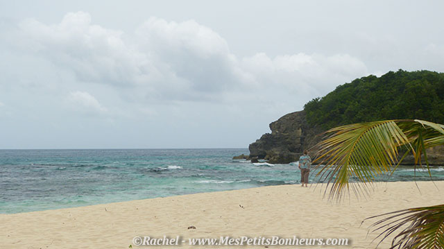 Guadeloupe_belle plage du souffleur