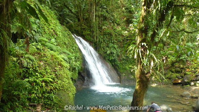 Guadeloupe_cascade et vegetation