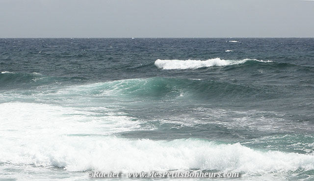 vague spot de surf atlantique