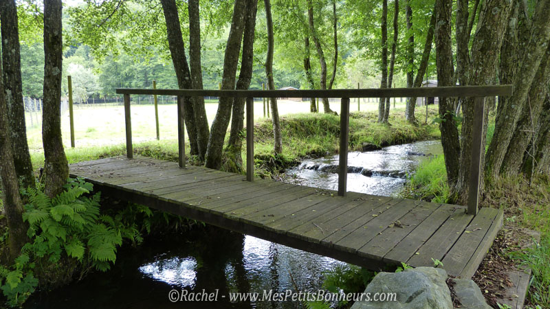 petit pont de bois_jardin gantner