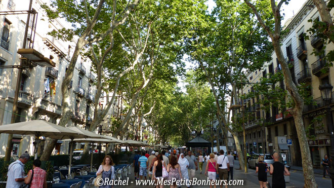 Barcelone_promenade sur la Rambla