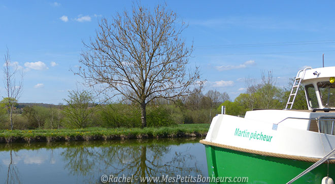 bateau martin pecheur sur canal