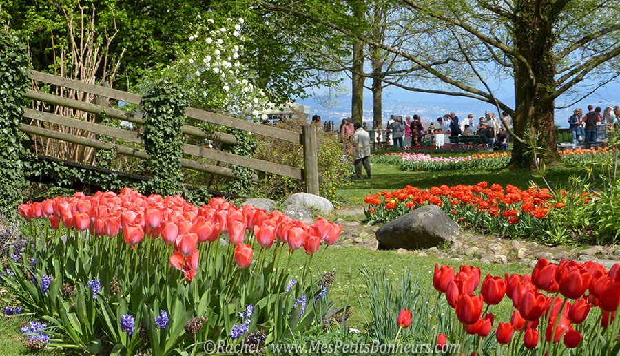 morges pont parc independance fete de la tulipe