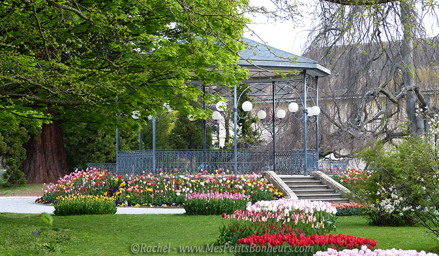 parc tulipes kiosque morges