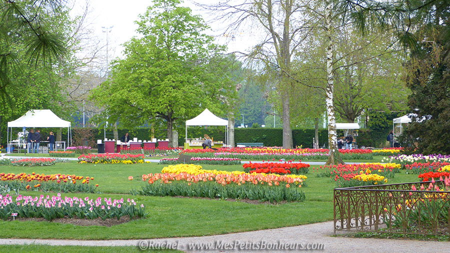 parc tulipes morges suisse
