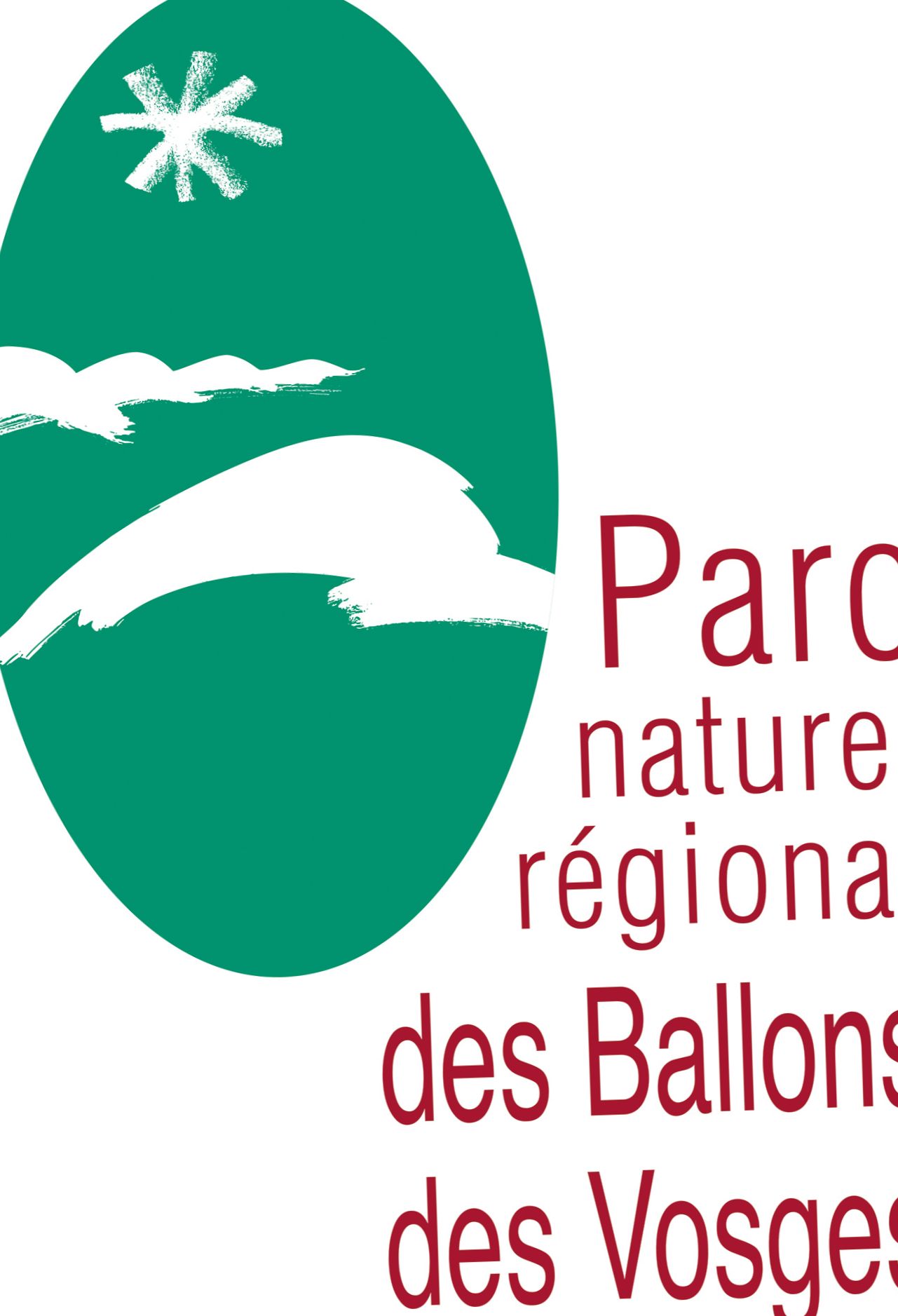 Ballons du Territoire Montgolfière devant ligne des Vosges