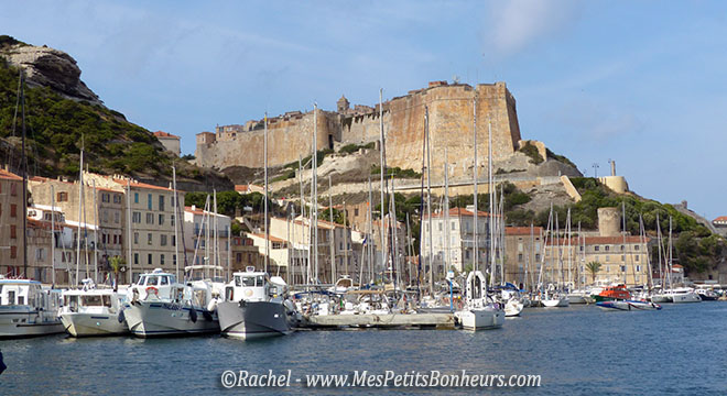 Bonifacio port et citadelle septembre 2014