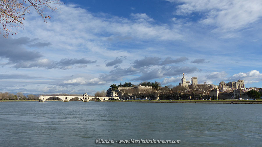 Avignon pont et palais des papes