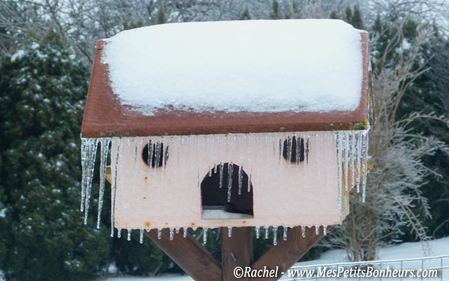 maison aux oiseaux congelée