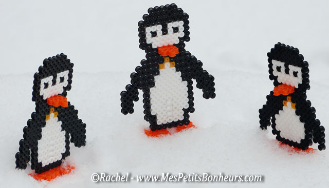 pingouins dans la neige