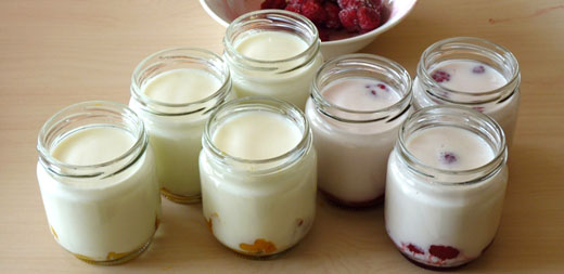 yaourts aux fruits